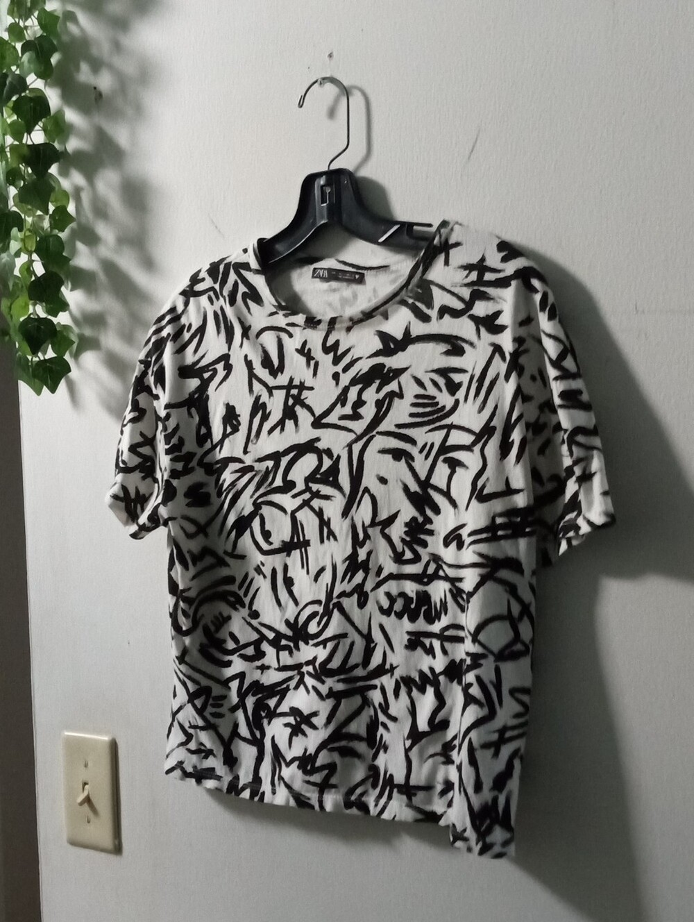 Zara Printed Crop Top To